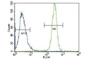 LYN antibody flow cytometric analysis of HeLa cells (green) compared to a negative control (blue). (LYN 抗体  (AA 32-62))