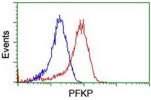 Flow cytometric Analysis of Hela cells, using anti-PFKP antibody (ABIN2455354), (Red), compared to a nonspecific negative control antibody, (Blue). (PFKP 抗体)