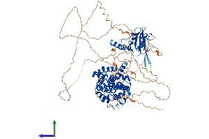 AlphaFold protein structure predicition of Mouse Recombinant Sh2d3c Protein, UniprotID Q9QZS8