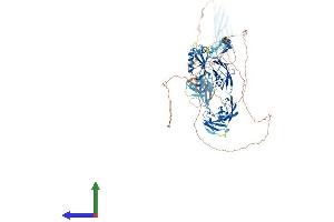 Protein Structure (PS) image for KIAA0319L (KIAA0319L) (AA 1-1048) protein (His tag) (ABIN7564620)