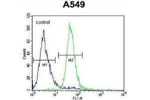 CO039 Antibody (C-term) flow cytometric analysis of A549 cells (right histogram) compared to a negative control cell (left histogram). (C15ORF39 抗体  (C-Term))
