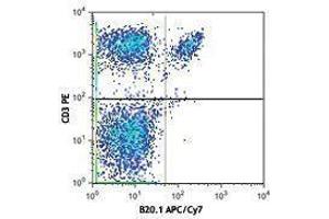 Flow Cytometry (FACS) image for anti-V alpha 2 TCR antibody (APC-Cy7) (ABIN2660724) (V alpha 2 TCR 抗体 (APC-Cy7))
