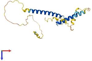 BHLHA15 Protein (AA 1-189) (His tag)