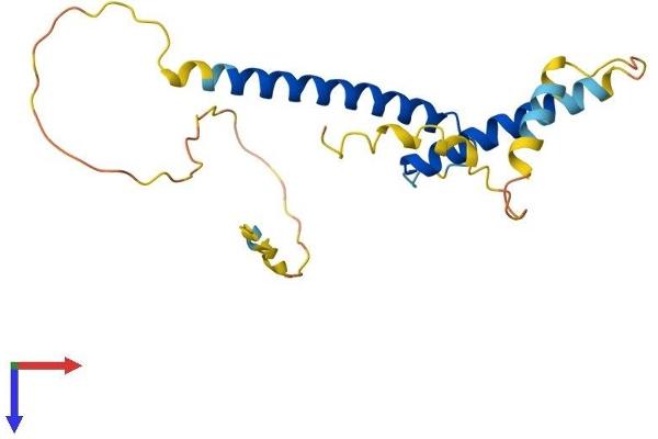 BHLHA15 Protein (AA 1-189) (His tag)