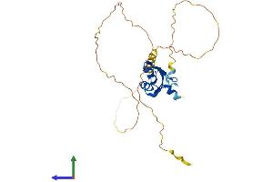 Protein Structure (PS) image for RNA Binding Motif Protein 7 (RBM7) (AA 1-265) protein (His tag) (ABIN7560576)