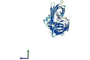 AlphaFold protein structure predicition of Mouse Recombinant Samm50 Protein, UniprotID Q8BGH2