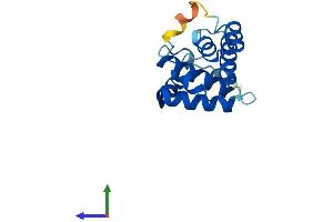 Protein Structure (PS) image for Actin Related Protein 2/3 Complex, Subunit 5-Like (ARPC5L) (AA 1-153) protein (His tag) (ABIN7561116)