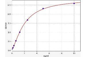 UBE2A ELISA 试剂盒