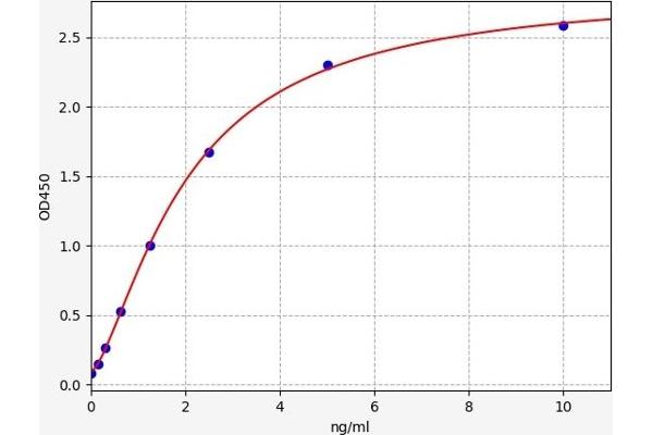 UBE2A ELISA 试剂盒