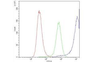 Flow Cytometry (FACS) image for anti-Calpastatin (CAST) (AA 275-310) antibody (ABIN5647087)
