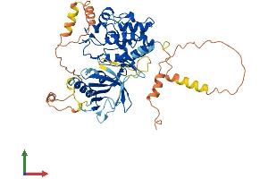 Protein Structure (PS) image for Mitogen-Activated Protein Kinase Kinase Kinase 8 (MAP3K8) (AA 1-467) protein (His tag) (ABIN7554447)