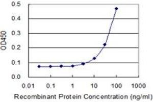 Detection limit for recombinant GST tagged NOG is 3 ng/ml as a capture antibody. (NOG 抗体  (AA 28-232))