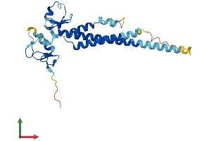 Protein Structure (PS) image for Tripartite Motif Containing 40 (TRIM40) (AA 1-246) protein (His tag) (ABIN7557298)
