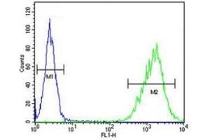 Flow Cytometry (FACS) image for anti-Tafazzin (TAZ) (AA 32-60) antibody (ABIN3029091)