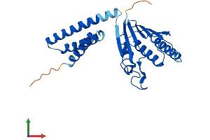 Protein Structure (PS) image for MIT, Microtubule Interacting and Transport, Domain Containing 1 (MITD1) (AA 1-249) protein (His tag) (ABIN7549449)