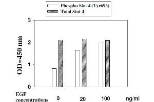 Image no. 3 for Signal Transducer and Activator of Transcription 4 (STAT4) ELISA Kit (ABIN1981841)