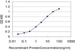 Detection limit for recombinant GST tagged ADH6 is approximately 0. (ADH6 抗体  (AA 55-144))