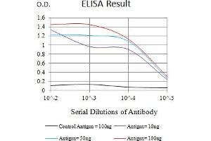 Black line: Control Antigen (100 ng),Purple line: Antigen (10 ng), Blue line: Antigen (50 ng), Red line:Antigen (100 ng) (BCL10 抗体  (AA 98-234))