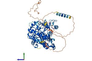 AlphaFold protein structure predicition of Mouse Recombinant Chst15 Protein, UniprotID Q91XQ5