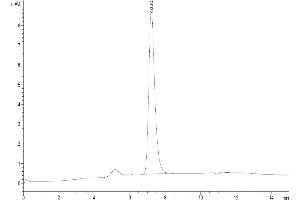 Size-exclusion chromatography-High Pressure Liquid Chromatography (SEC-HPLC) image for Poliovirus Receptor-Related 4 (PVRL4) (AA 32-351) protein (His-Avi Tag,Biotin) (ABIN7275314)