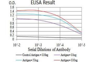 Black line: Control Antigen (100 ng);Purple line: Antigen (10ng); Blue line: Antigen (50 ng); Red line:Antigen (100 ng) (ZFP91 抗体  (AA 162-304))