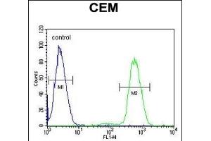 NFKBIL1 Antibody (Center) (ABIN654639 and ABIN2844336) flow cytometric analysis of CEM cells (right histogram) compared to a negative control cell (left histogram). (NFKBIL1 抗体  (AA 256-285))