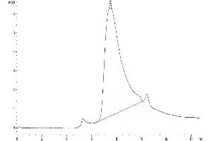 Size-exclusion chromatography-High Pressure Liquid Chromatography (SEC-HPLC) image for CD79b Molecule, Immunoglobulin-Associated beta (CD79B) (AA 29-159) protein (His-Avi Tag) (ABIN7274234)