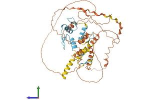 Protein Structure (PS) image for Zinc Finger and BTB Domain Containing 12 (ZBTB12) (AA 1-459) protein (His tag) (ABIN7545282)