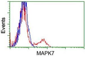 HEK293T cells transfected with either RC203506 overexpress plasmid (Red) or empty vector control plasmid (Blue) were immunostained by anti-MAPK7 antibody (ABIN2453998), and then analyzed by flow cytometry. (MAPK7 抗体)