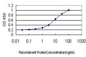 Detection limit for recombinant GST tagged TEK is approximately 0. (TEK 抗体  (AA 701-800))