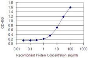 Detection limit for recombinant GST tagged DDX4 is 0. (DDX4 抗体  (AA 625-724))