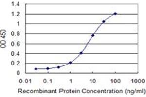 Detection limit for recombinant GST tagged HEXIM1 is 0. (HEXIM1 抗体  (AA 1-359))