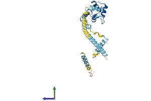 Protein Structure (PS) image for EF-Hand Domain Family, Member D1 (EFHD1) (AA 1-240) protein (His tag) (ABIN7560992)