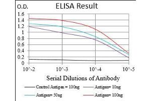 Black line: Control Antigen (100 ng), Purple line: Antigen(10 ng), Blue line: Antigen (50 ng), Red line: Antigen (100 ng), (Menin 抗体  (AA 392-554))