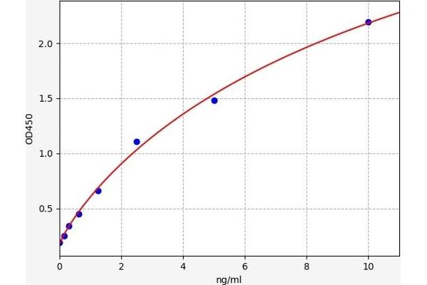 Mu Opioid Receptor 1 ELISA 试剂盒