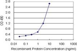 Sandwich ELISA detection sensitivity ranging from 0. (SPP1 (人) Matched Antibody Pair)