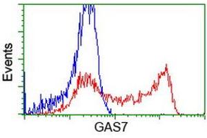 HEK293T cells transfected with either RC215256 overexpress plasmid (Red) or empty vector control plasmid (Blue) were immunostained by anti-GAS7 antibody (ABIN2453059), and then analyzed by flow cytometry. (GAS7 抗体)