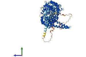 Protein Structure (PS) image for Kinesin Associated Protein 3 (KIFAP3) (AA 1-793) protein (His tag) (ABIN7556670)