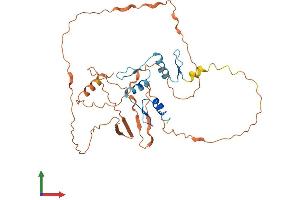 Protein Structure (PS) image for Kruppel-Like Factor 8 (KLF8) (AA 1-359) protein (His tag) (ABIN7548956)