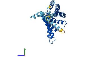 Protein Structure (PS) image for Peroxisomal Biogenesis Factor 11 alpha (PEX11A) (AA 1-247) protein (His tag) (ABIN7551115)