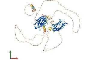 AlphaFold protein structure predicition of Mouse Recombinant Syt16 Protein, UniprotID Q7TN83 (SYT16 Protein (AA 1-639) (His tag))