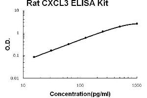 Rat CXCL3 PicoKine ELISA Kit standard curve (CXCL3 ELISA 试剂盒)