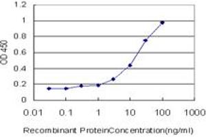 Detection limit for recombinant GST tagged TAOK3 is approximately 3ng/ml as a capture antibody. (TAO Kinase 3 抗体  (AA 809-898))