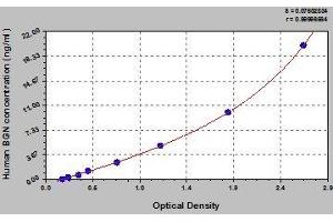 Typical standard curve (Biglycan ELISA 试剂盒)