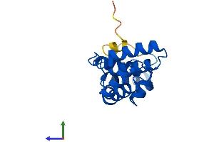 AlphaFold protein structure predicition of Mouse Recombinant Rgs13 Protein, UniprotID Q8K443