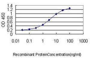 Detection limit for recombinant GST tagged HMGB2 is approximately 0. (HMGB2 抗体  (AA 1-195))