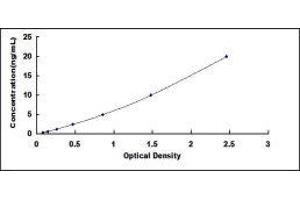 Adenylate Cyclase 6 (ADCY6) ELISA Kit