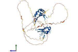 Protein Structure (PS) image for RNA Binding Motif, Single Stranded Interacting Protein 1 (RBMS1) (AA 1-403) protein (His tag) (ABIN7560013)
