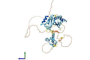 Protein Structure (PS) image for Poly(rC) Binding Protein 4 (PCBP4) (AA 1-403) protein (His tag) (ABIN7556503)