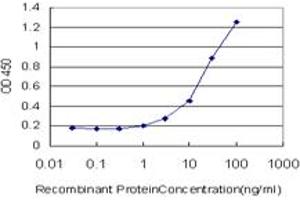 Detection limit for recombinant GST tagged CAV3 is approximately 1ng/ml as a capture antibody. (Caveolin 3 抗体  (AA 1-83))